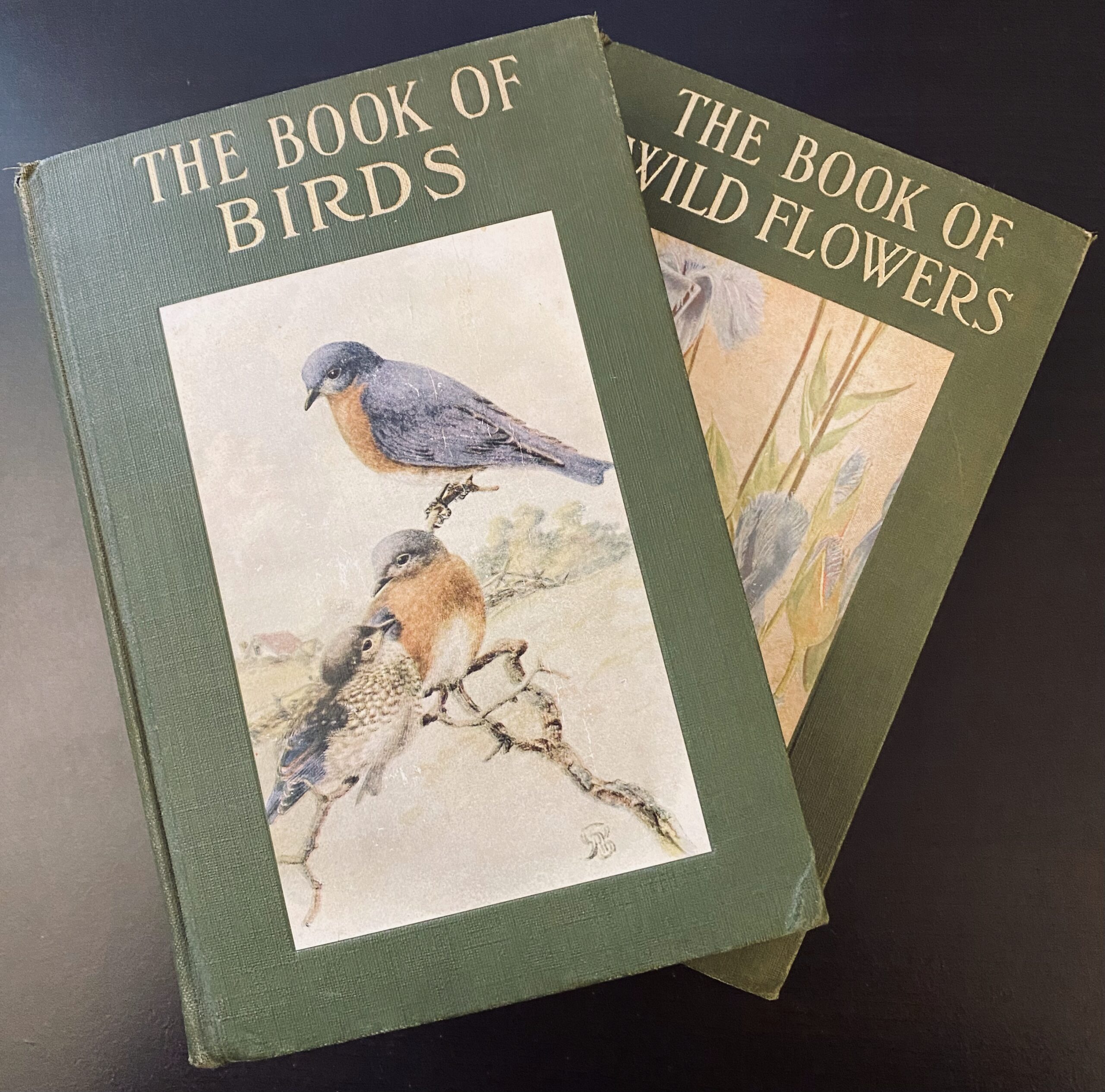 Little Nature Library: Birds & Wild Flowers (1932)